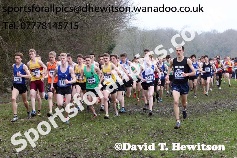 Mens under-20s Inter Counties Cross Country, Prestwold Hall, Loughborough. Photo: David T. Hewitson/Sports for All Pics